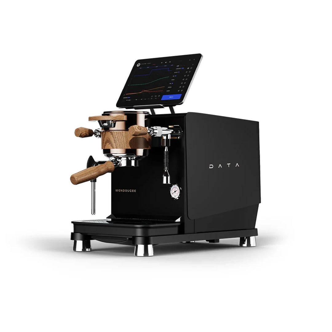 Wendougee DATA semi-automatic espresso machine with dual-boiler design